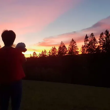 Goski & Gobike 4k Netflix Free *