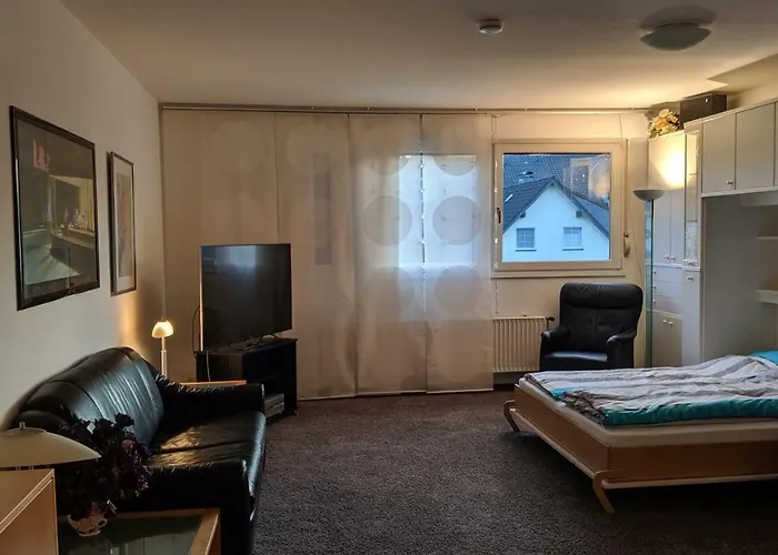 Goski & Gobike 4k Netflix Free Apartment *