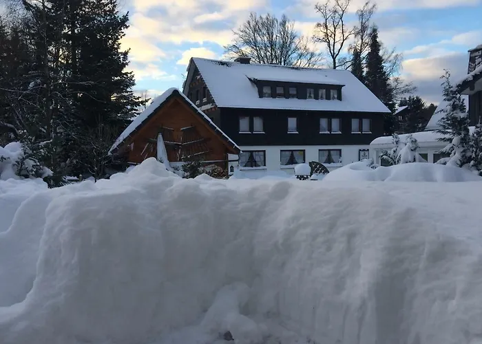 Goski & Gobike 4k Netflix Free Apartmán