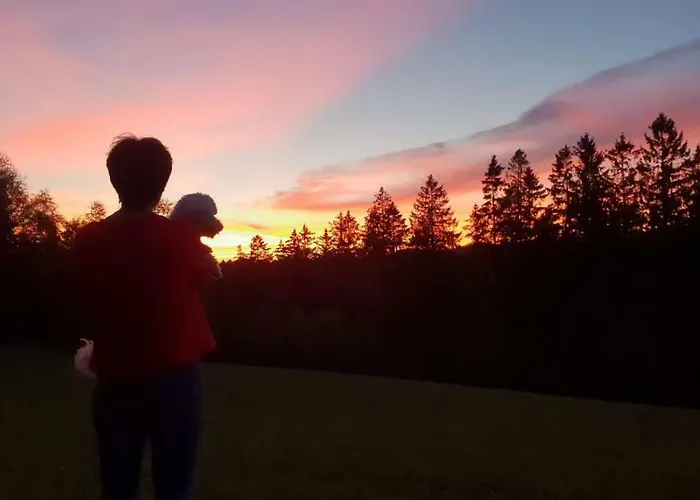 Goski & Gobike 4k Netflix Free *