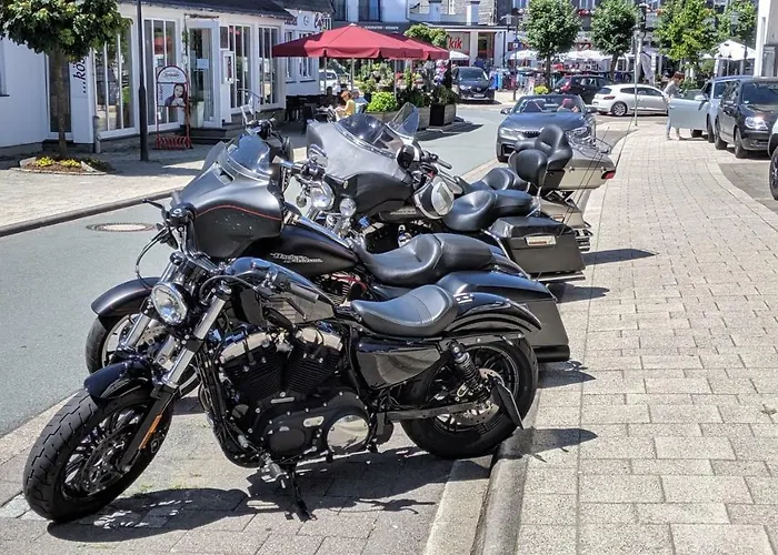 Goski & Gobike 4k Netflix Free Apartment Winterberg